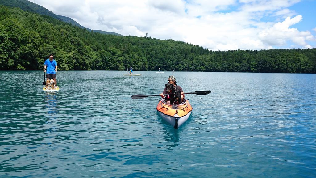 Nori's Sharehouse * Hakuba